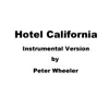 Peter Wheeler - Hotel California (Instrumental Version) - Single